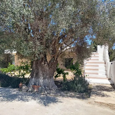 Elia Villa Pitsidia